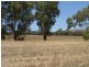 100 River Road, Wagga Wagga NSW 2650