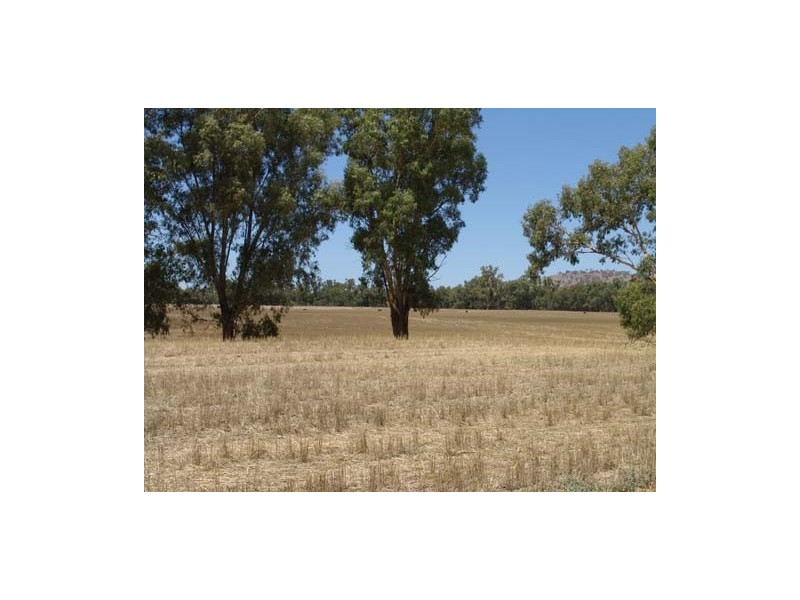 100 River Road, Wagga Wagga NSW 2650