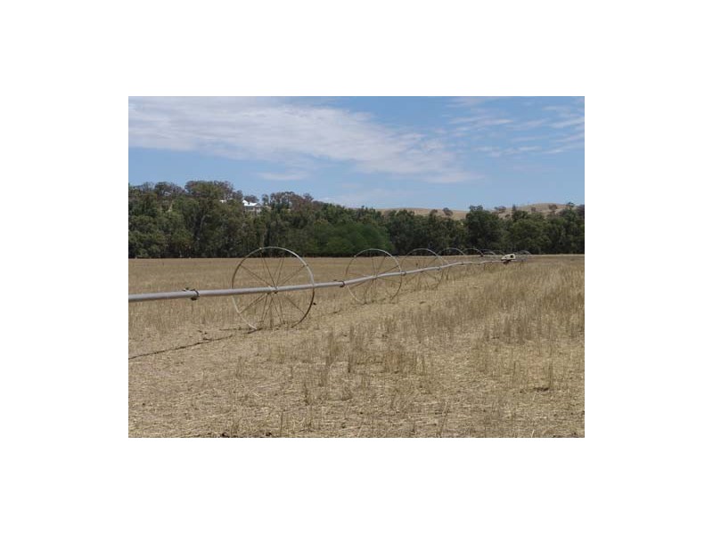 100 River Road, Wagga Wagga NSW 2650