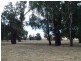 100 River Road, Wagga Wagga NSW 2650
