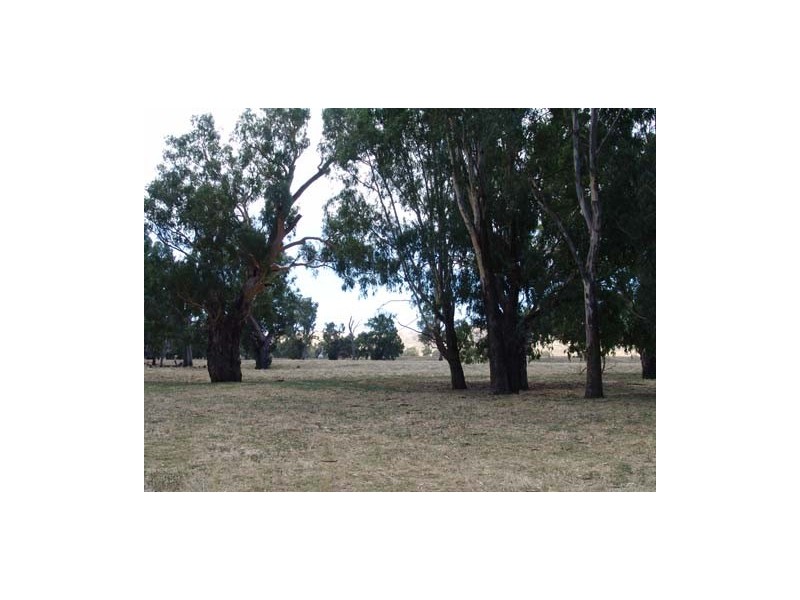 100 River Road, Wagga Wagga NSW 2650