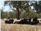 100 River Road, Wagga Wagga NSW 2650