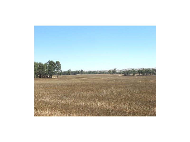 100 River Road, Wagga Wagga NSW 2650