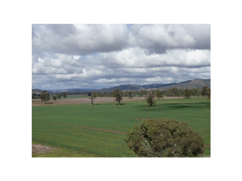 Wagga Wagga NSW 2650