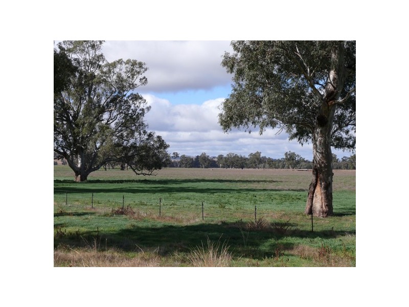 Wagga Wagga NSW 2650