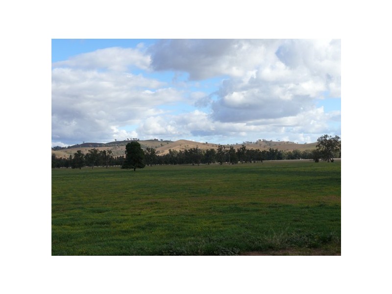 Wagga Wagga NSW 2650