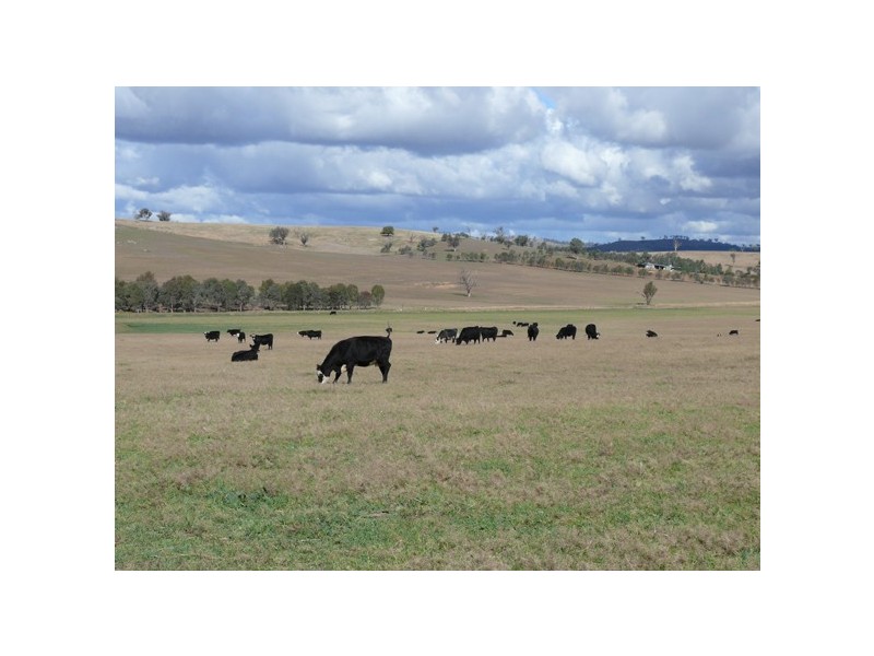 Wagga Wagga NSW 2650