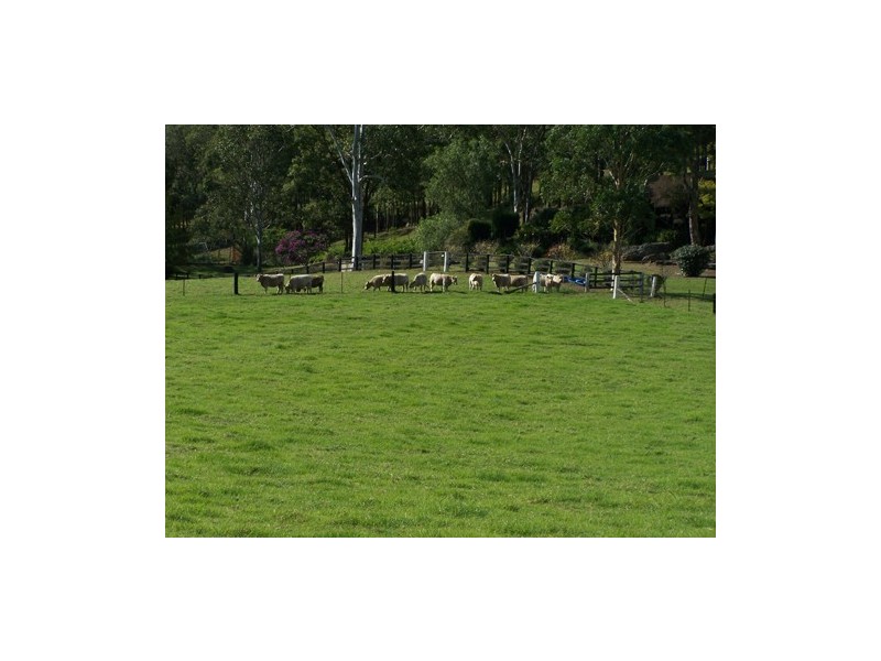 Yarramalong NSW 2259