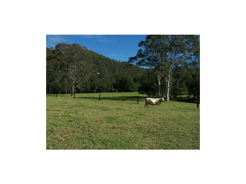 Yarramalong NSW 2259