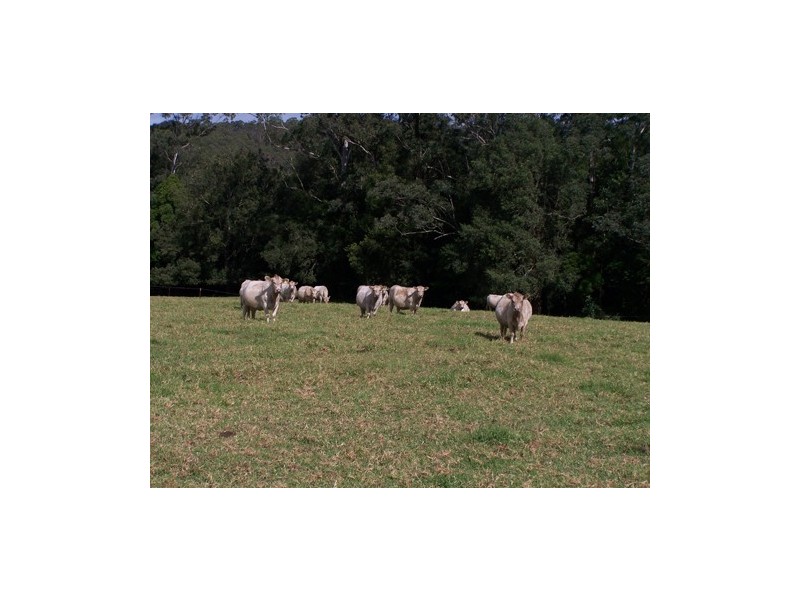 Yarramalong NSW 2259