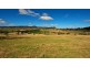 Rylstone NSW 2849