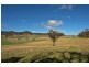 Rylstone NSW 2849