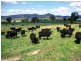 Rylstone NSW 2849