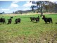 Rylstone NSW 2849