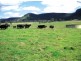 Rylstone NSW 2849