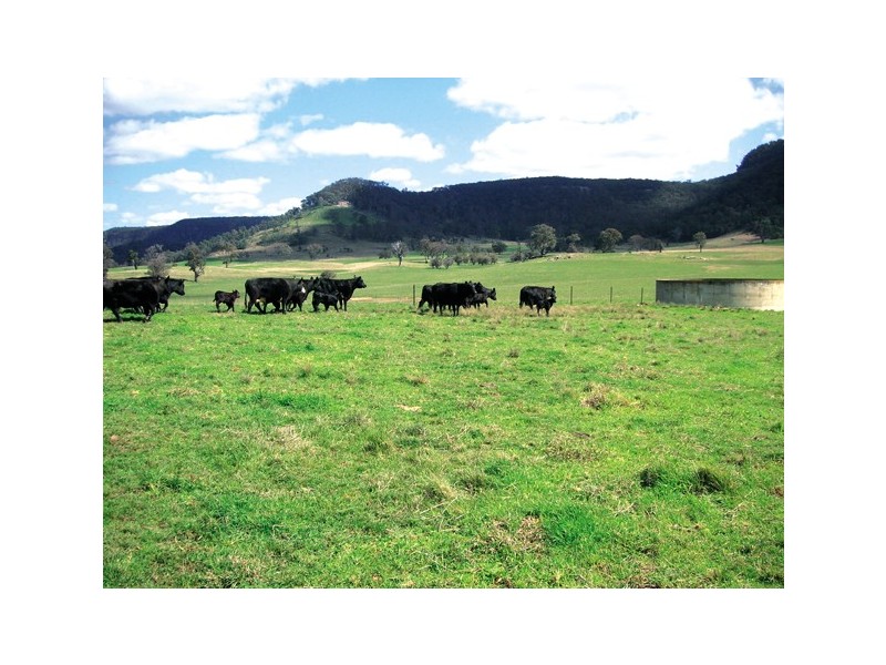 Rylstone NSW 2849