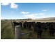 Rylstone NSW 2849