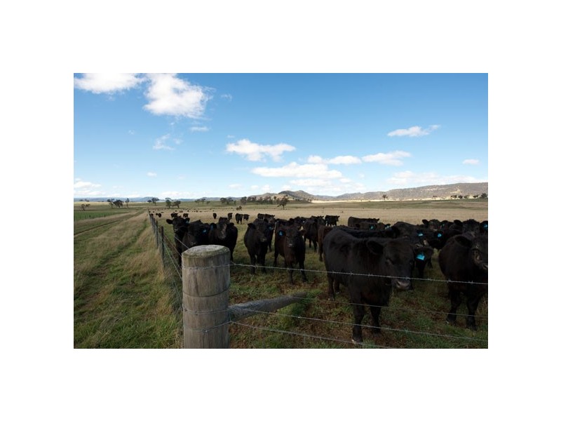 Rylstone NSW 2849