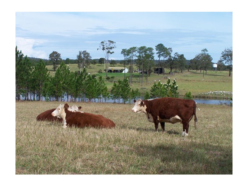 Tea Gardens NSW 2324