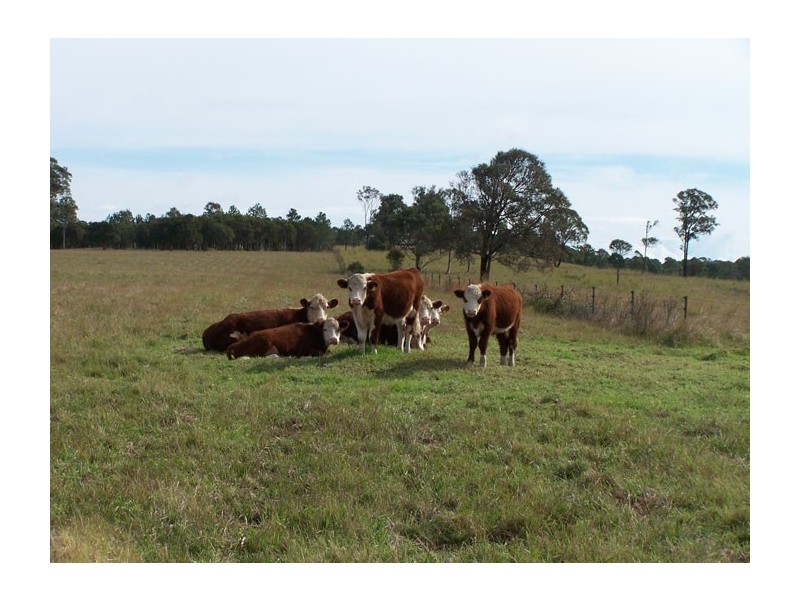 Tea Gardens NSW 2324