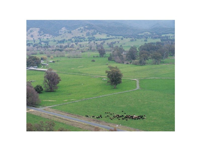 Tumut NSW 2720