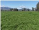 Tumut NSW 2720