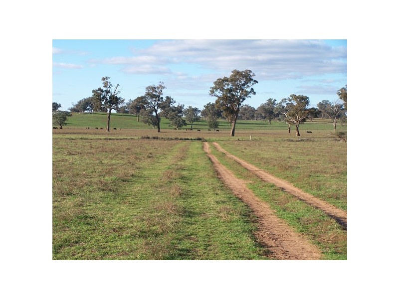 Cowra NSW 2794