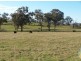Cowra NSW 2794