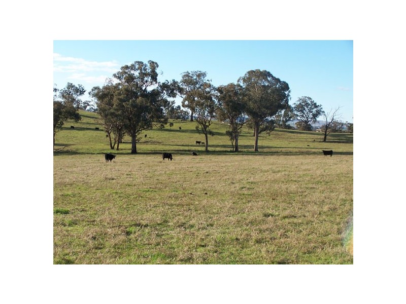 Cowra NSW 2794