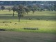 Cowra NSW 2794