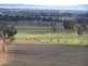 Cowra NSW 2794