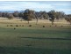 Cowra NSW 2794