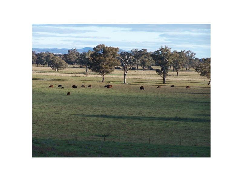 Cowra NSW 2794
