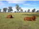 Cowra NSW 2794