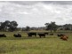 Cowra NSW 2794