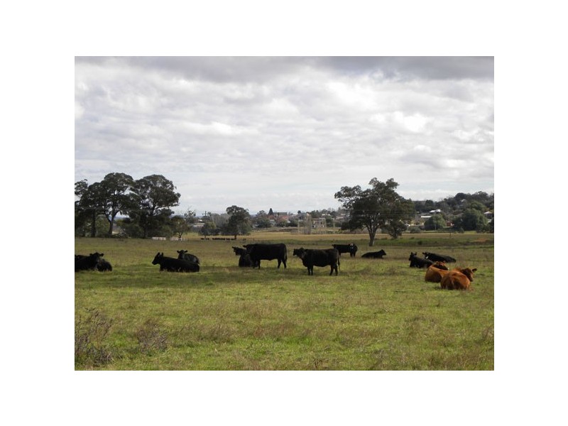 Cowra NSW 2794