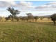 Cowra NSW 2794