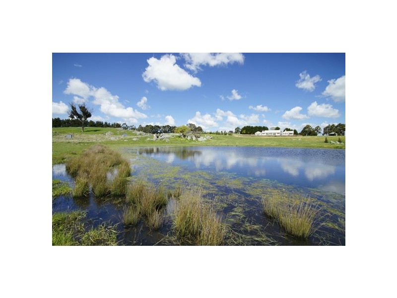 2134 Woodhouselee Road, Roslyn NSW 2580