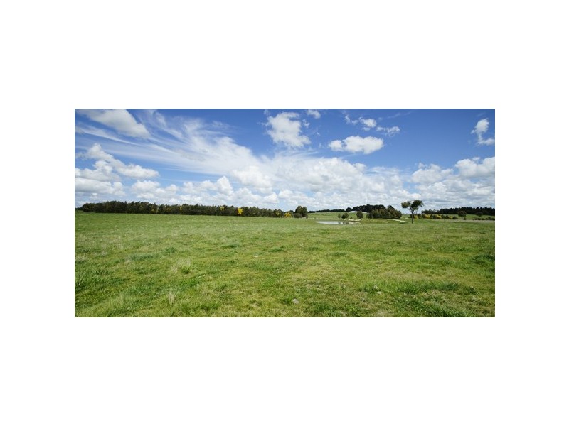 2134 Woodhouselee Road, Roslyn NSW 2580