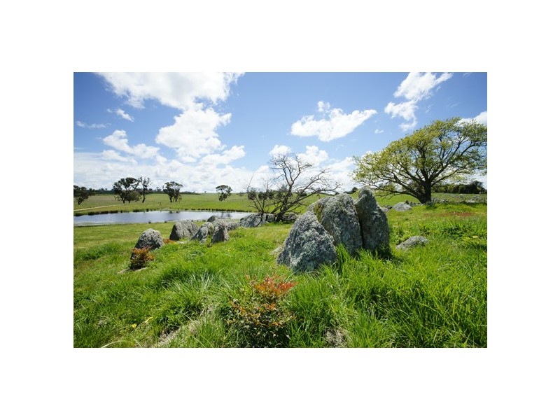 2134 Woodhouselee Road, Roslyn NSW 2580