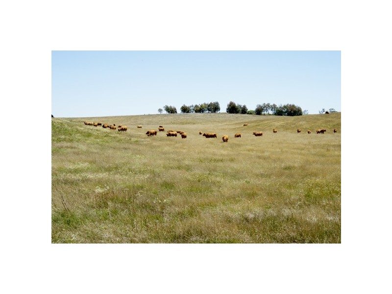 2134 Woodhouselee Road, Roslyn NSW 2580