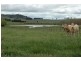 150 Glenroy Road, Kentucky NSW 2354