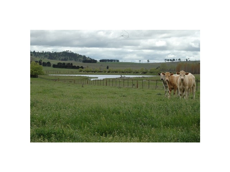 150 Glenroy Road, Kentucky NSW 2354