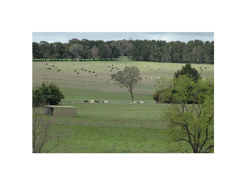 150 Glenroy Road, Kentucky NSW 2354