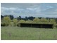 150 Glenroy Road, Kentucky NSW 2354