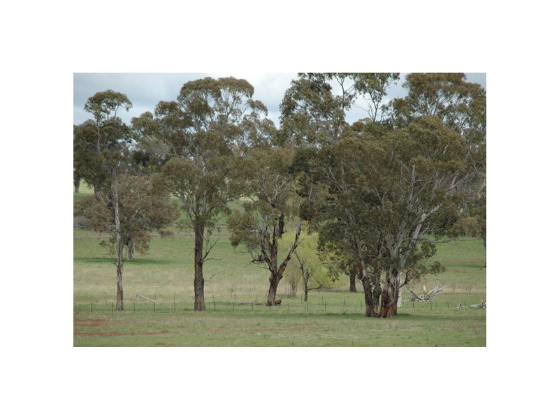 150 Glenroy Road, Kentucky NSW 2354
