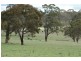 150 Glenroy Road, Kentucky NSW 2354