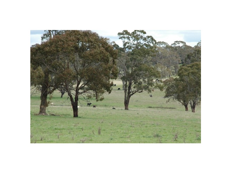 150 Glenroy Road, Kentucky NSW 2354