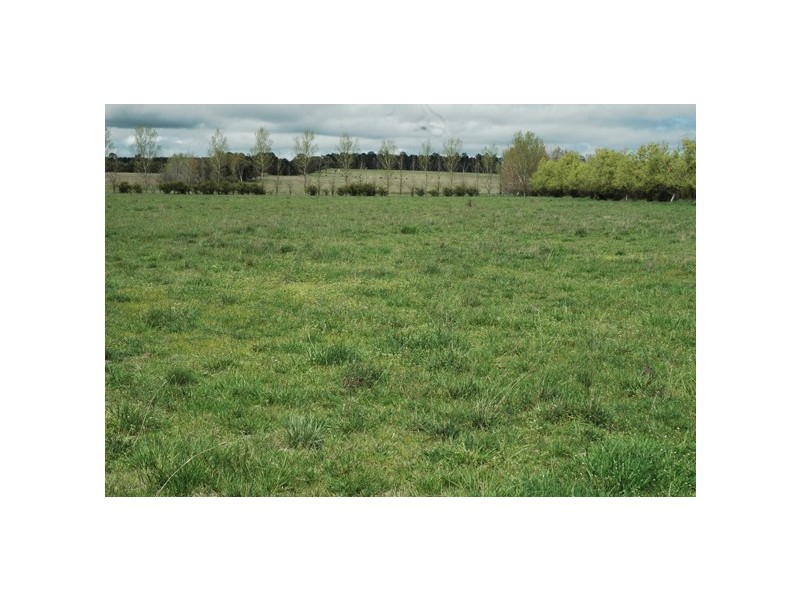 150 Glenroy Road, Kentucky NSW 2354