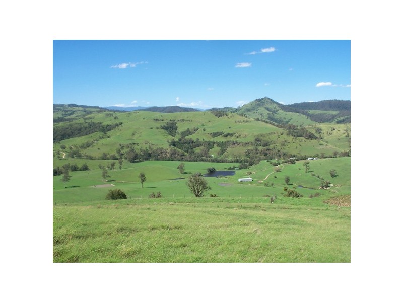 2443 Paterson River Road, Lostock NSW 2311